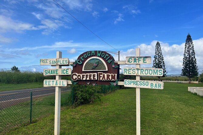 North Shore Dole Pineapple Farm Tour - Tropical Farms macadamia outlet: quick shopping under a banyan tree