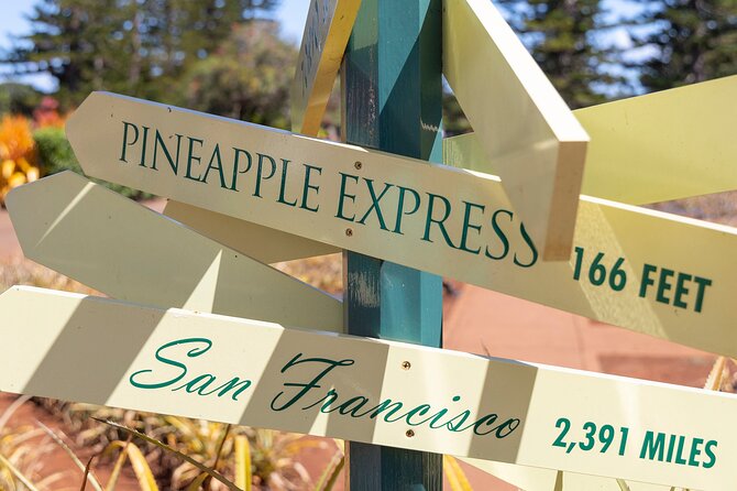 North Shore Haleiwa & Dole Plantation Tour - Price and value: what you’re paying for at $100