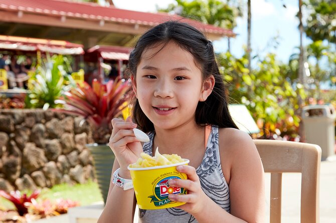 North Shore Haleiwa & Dole Plantation Tour - Who this North Shore Haleiwa and Dole combo suits best