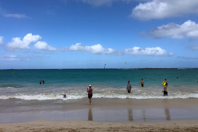 North Shore / Waimea, Falls Day & Swim with Turtles - North Shore and Waimea in one day: the value of one tight route