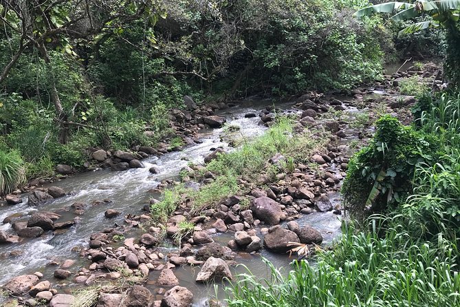 North Shore / Waimea, Falls Day & Swim with Turtles - Lunch at Jenny’s Shrimp Truck: filling, local, and on the right track