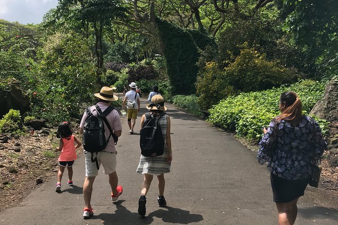 North Shore / Waimea, Falls Day & Swim with Turtles - Price and what you should budget beyond the $150