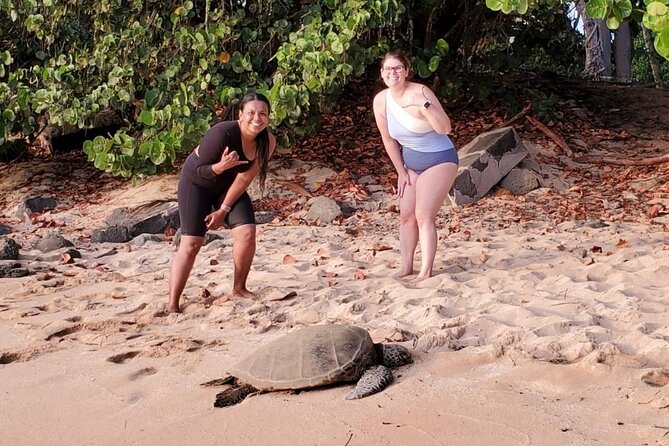 Northshore ocean adventure and circle islandJeep Tour- Guaranteed to see turtles - Sunset Beach and Hālona Blowhole: surf energy and volcanic weirdness