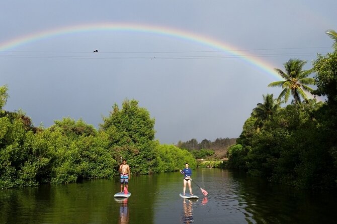 Northshore ocean adventure and circle islandJeep Tour- Guaranteed to see turtles - Who this tour fits best (and who should think twice)