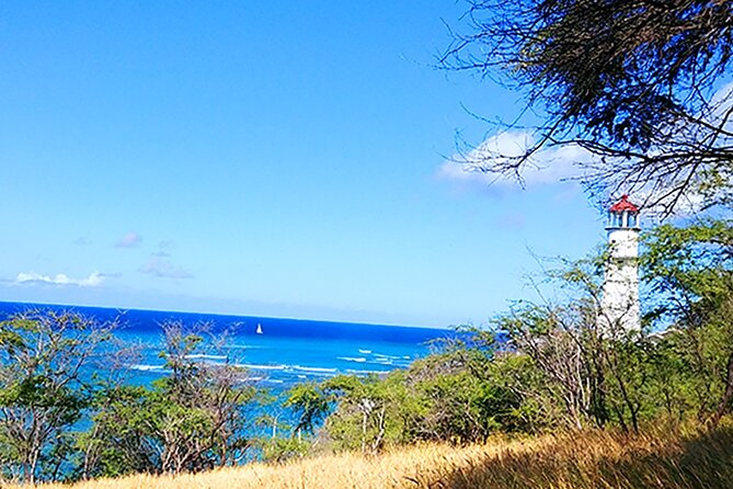 Oahu: All Day Circle Island Tour with Snorkeling - Where the $72 value really comes from (and where it doesn’t)
