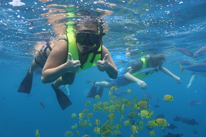 Oahu Dolphin and Snorkel Tour with Waikiki Pickup & Lunch - Waikiki pickup and the drive to Waiʻanae Small Boat Harbor