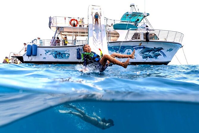 Oahu Dolphin and Snorkel Tour with Waikiki Pickup & Lunch - Snorkeling with Hawaiian green sea turtles (and what to expect underwater)