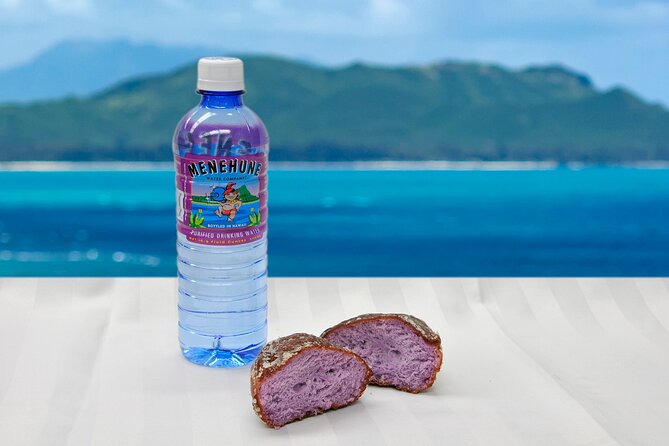 Oahu Grand Circle Island and Haleiwa Tour: 9-Hr Deluxe Experience - Haleiwa for 1.5 hours: how to use the North Shore time well