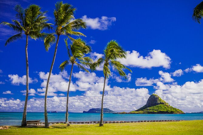Oahu Grand Circle Island and Haleiwa Tour: 9-Hr Deluxe Experience - Dole Plantation in 30 minutes: pineapples, shopping, and DoleWhip timing