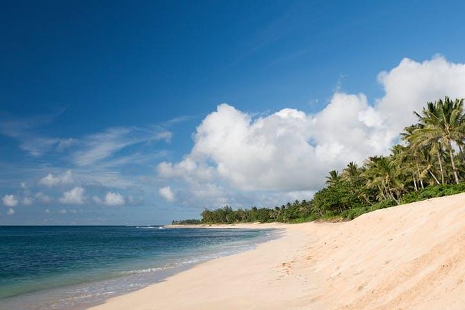 Oahu Grand Circle Island: Discover the Heart & Soul of Hawaii - Dole Plantation: pineapple world tour, plus the Dole Whip reality