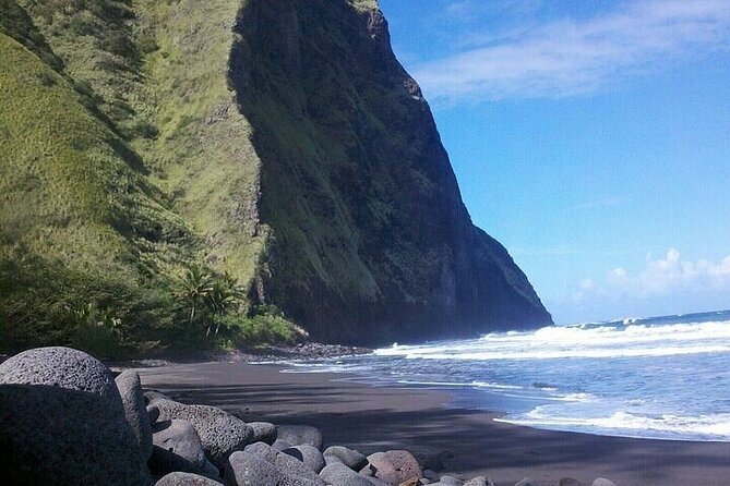 Oahu Grand Circle Island Experience from Waikiki - North Shore surf belt, shrimp lunch fuel, turtles, and Shark’s Cove views