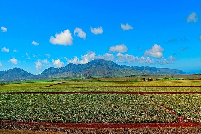 Oahu Grand Circle Island Tour Departing from Waikiki - Koko Marina Center and Halona Blowhole: Food Bites and Lava Tube Drama