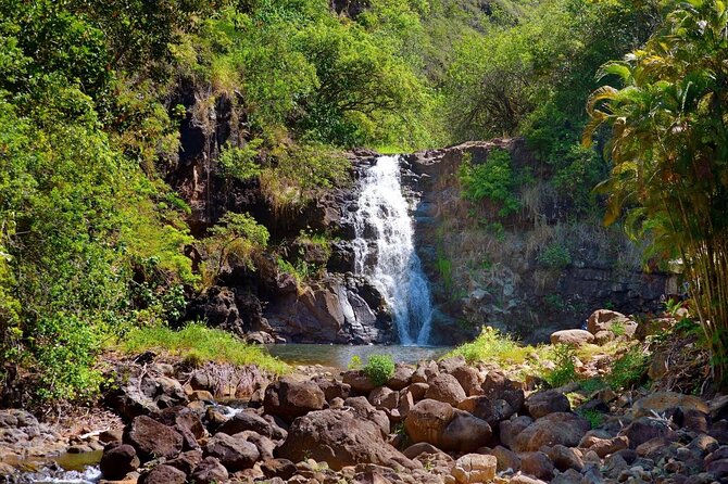 OAHU GRAND CIRCLE Waimea Waterfall, Turtle Beach, North Shore. - Haleiwa lunch with food trucks, plus a coast drive you can actually enjoy