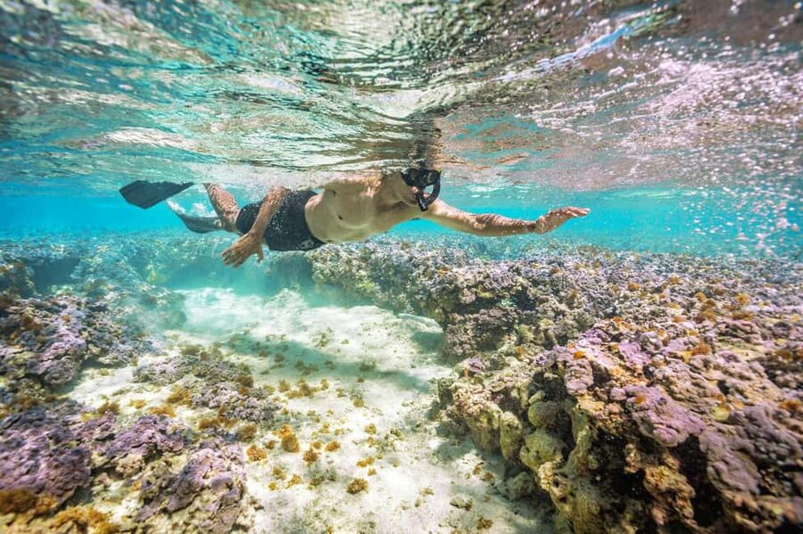 Oahu : Hanauma Bay Admission Ticket+Equipment Rental - Where to Pick Up Your Snorkel Gear (and How Not to Get Lost)