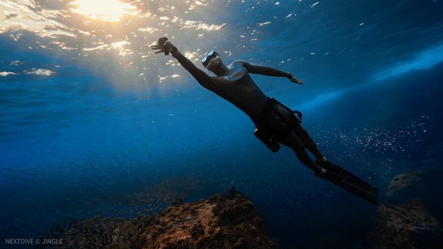 Oahu : Hanauma Bay Admission Ticket+Equipment Rental - Transportation Reality: The One Line That Can Make or Break the Day