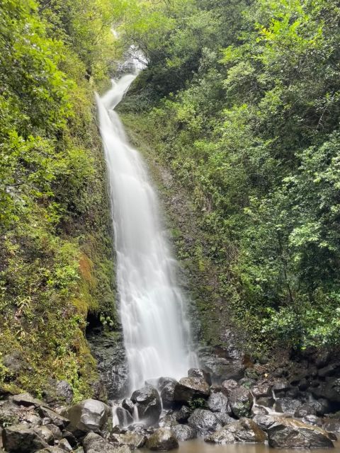 Oahu: Hidden Hawaii Waterfall Hike and Beach Tour - Quick sanity check: what this 4-hour Oahu plan is really for