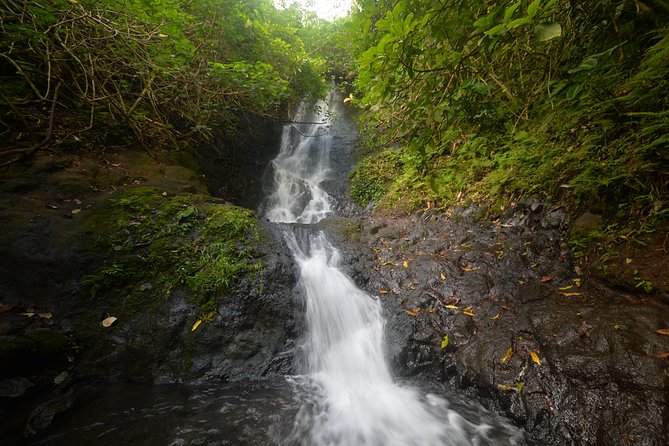 Oahu Hidden Waterfall Hike: A Tropical Paradise Adventure - Quick reasons this waterfall hike is a good bet