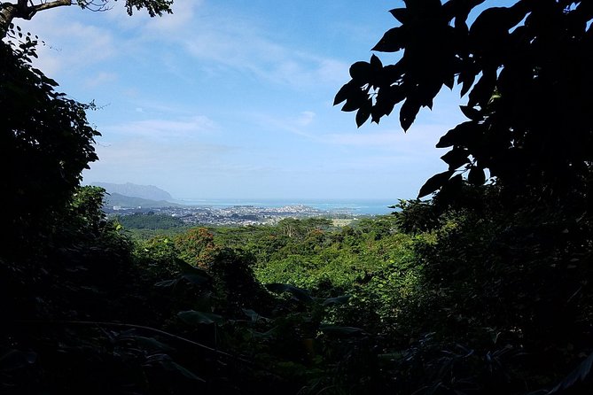 Oahu Hidden Waterfall Hike: A Tropical Paradise Adventure - Should you book the Oahu Hidden Waterfall Hike?
