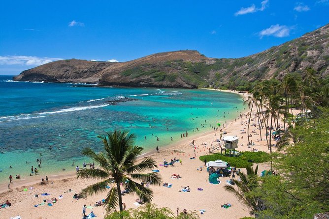Oahu Island Full-Day Sightseeing Tour - Kahuku garlic shrimp plate stop: when food trucks are the plan