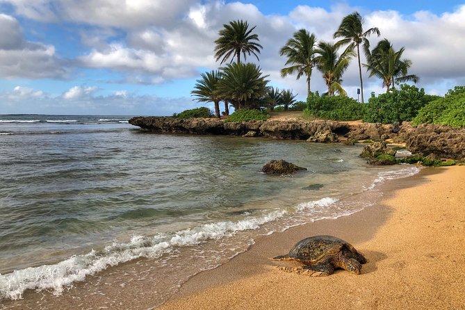 Oahu Island Photography Tour - Wildlife and Sacred Sites: Seeing Oahu With More Than a Camera