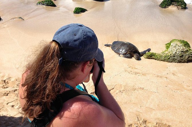 Oahu Island Photography Tour - How the Guide Helps With Phone Settings and DSLR Choices