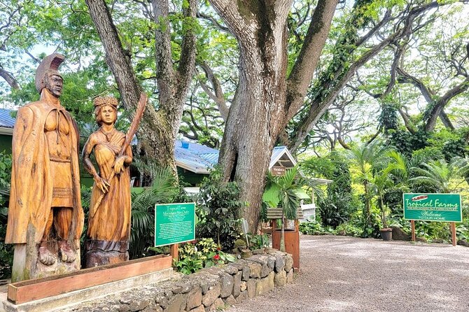 Oahu Island Sightseeing and Food Combo Tour - Key Highlights You’ll Feel in Real Life