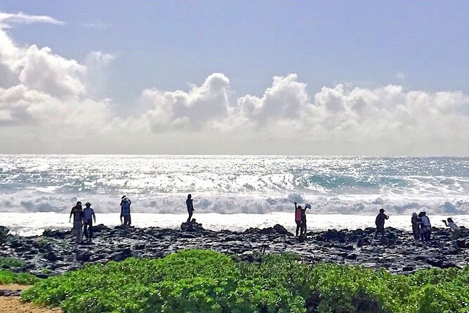 Oahu Island Sightseeing and Food Combo Tour - Hanauma Bay Lookout: Nature Without the Crowds (Usually)