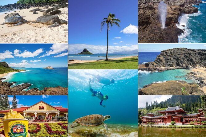 Oahu Island Tour: 13 ppl Max, Snorkel at Turtle Beach + Lunch - Key points worth knowing before you go