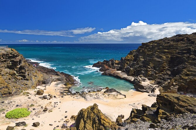 Oahu Island Tour: 13 ppl Max, Snorkel at Turtle Beach + Lunch - Makapu’u Point and the south-coast-to-North Shore flow