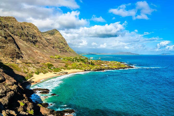 Oahu Island Tour: 13 ppl Max, Snorkel at Turtle Beach + Lunch - Macadamia Nut Company: sampling time, not a hard sell