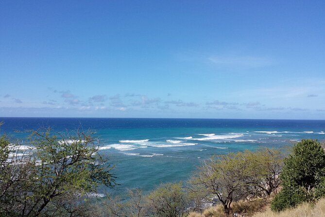 Oahu Island Tour: 13 ppl Max, Snorkel at Turtle Beach + Lunch - Morning pickup: how the timing works (and why it matters)