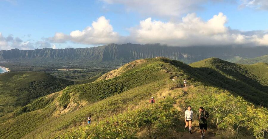 Oahu: Manoa Falls Hike and east side beach day - Macadamia nut farm stop: why it fits this kind of day