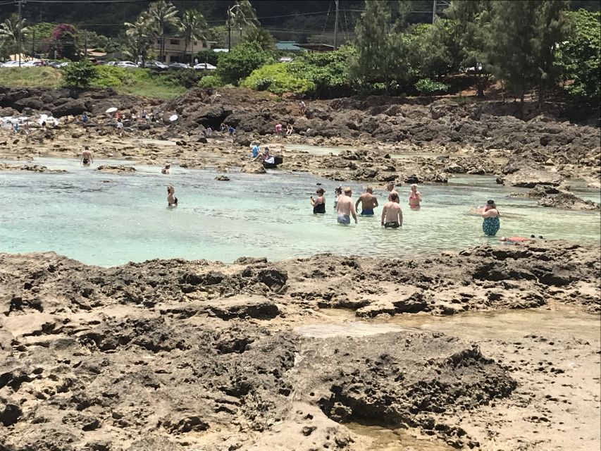 Oahu: Manoa Falls Hike and east side beach day - FAQ