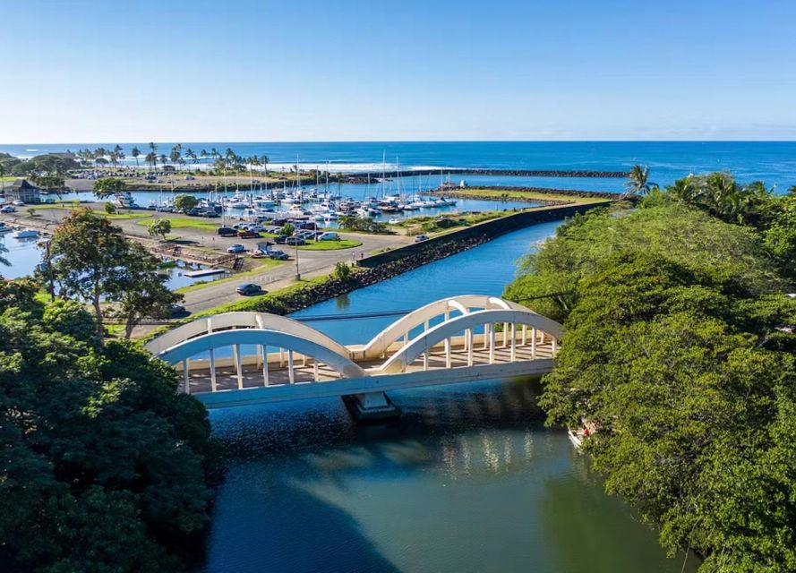 Oahu: North Shore Dole Pineapple Farm Tour - Picnic Lunch by the YMCA: Fuel With Coastal Views