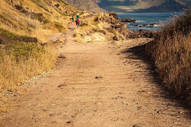 Oahu Personalized Private Tour - North Shore in a Nutshell: Surf Culture, Shrimp Trucks, and Time On Your Side