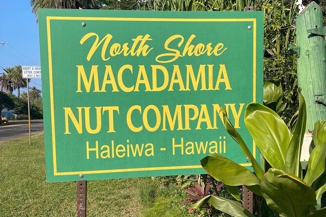 Oahu Private Tour North Shore, Waimea Falls and Dole Plantation - Laniakea Beach: Sea turtles, gentle rules, real payoff
