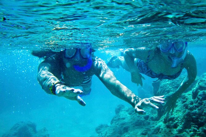 Oahu Private Tour North Shore, Waimea Falls and Dole Plantation - Waimea Falls: A lush walk with a $25 ticket add-on