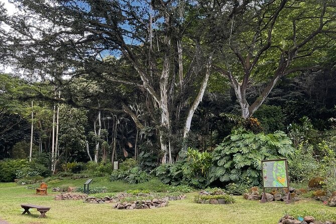 Oahu Private Tour North Shore, Waimea Falls and Dole Plantation - Sunset Beach and the North Shore surf outlook circuit