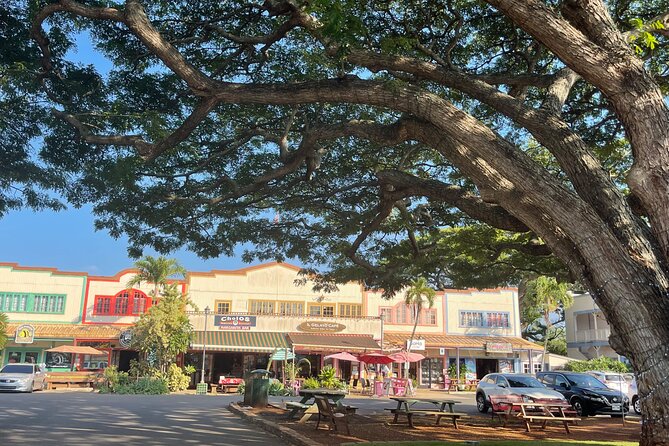Oahu Private Tour North Shore, Waimea Falls and Dole Plantation - Haleiwa: Surf town stroll, art stops, and easy treats