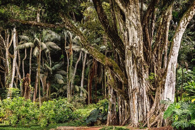 Oahu Private Tour North Shore, Waimea Falls and Dole Plantation - Mayra’s guiding style: flexible, friendly, and tuned to your day