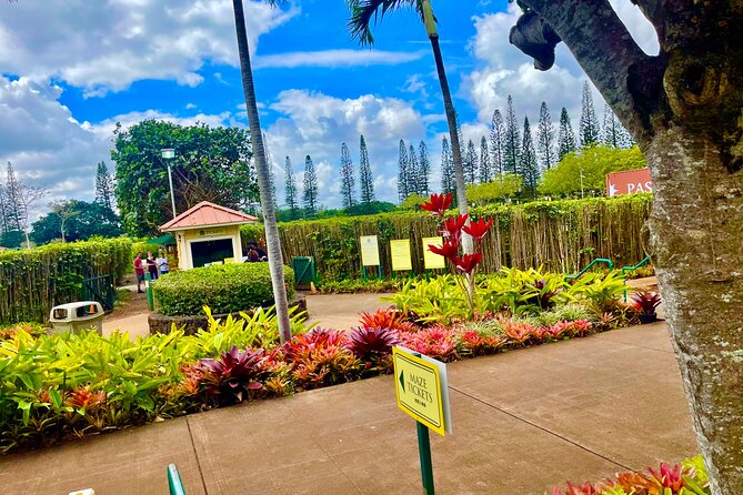 Oahu: Roundtrip Shuttle From Waikiki to Dole Plantation & Haleiwa - Key Highlights You’ll Actually Use