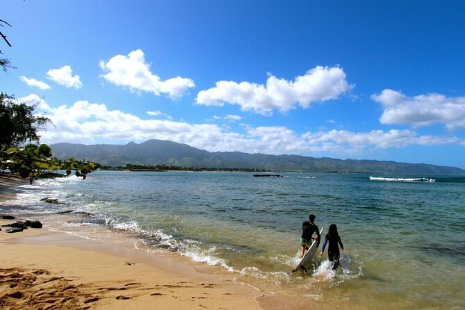 Oahu: Roundtrip Shuttle From Waikiki to Dole Plantation & Haleiwa - Hotel Pickup Timing: The Part That Can Make or Break Your Morning
