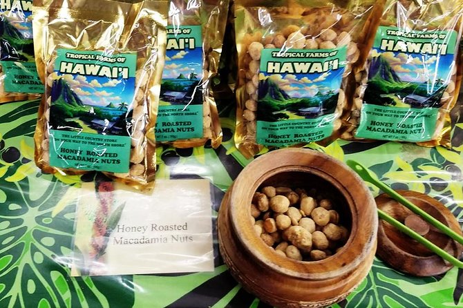 Oahu's Ultimate Tour: Dole, Turtle Snorkel, Pali Lookout & More - Sandy Beach Park and Makapu’u: the surf-zone view without the bus stop