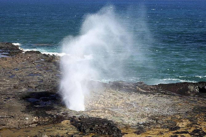Oahu's Ultimate Tour: Dole, Turtle Snorkel, Pali Lookout & More - Mokoli’i and Haleiwa: the view and the turtle snorkeling reality