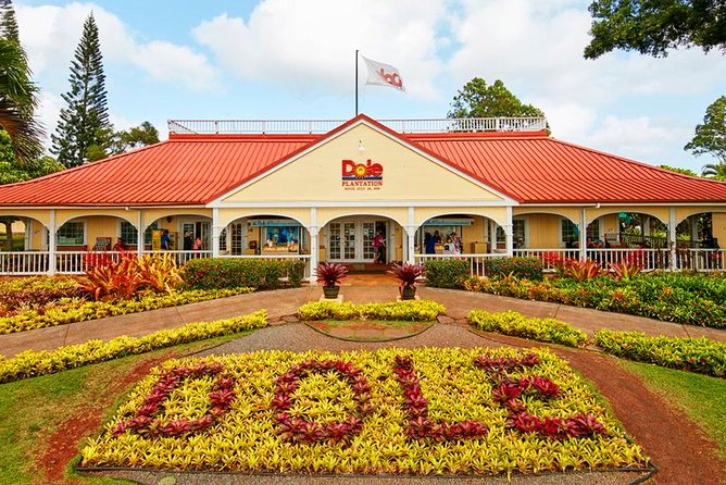 Oahu's Ultimate Tour: Dole, Turtle Snorkel, Pali Lookout & More - Dole Plantation: train or maze, plus the DoleWhip reality