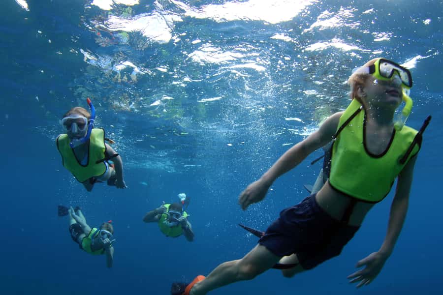 Oahu: Snorkeling & Dolphin Watch Cruise w/ Luau Style Buffet - Should You Book Ocean Joy Cruises for O‘ahu Snorkel and Luau-Style Food?