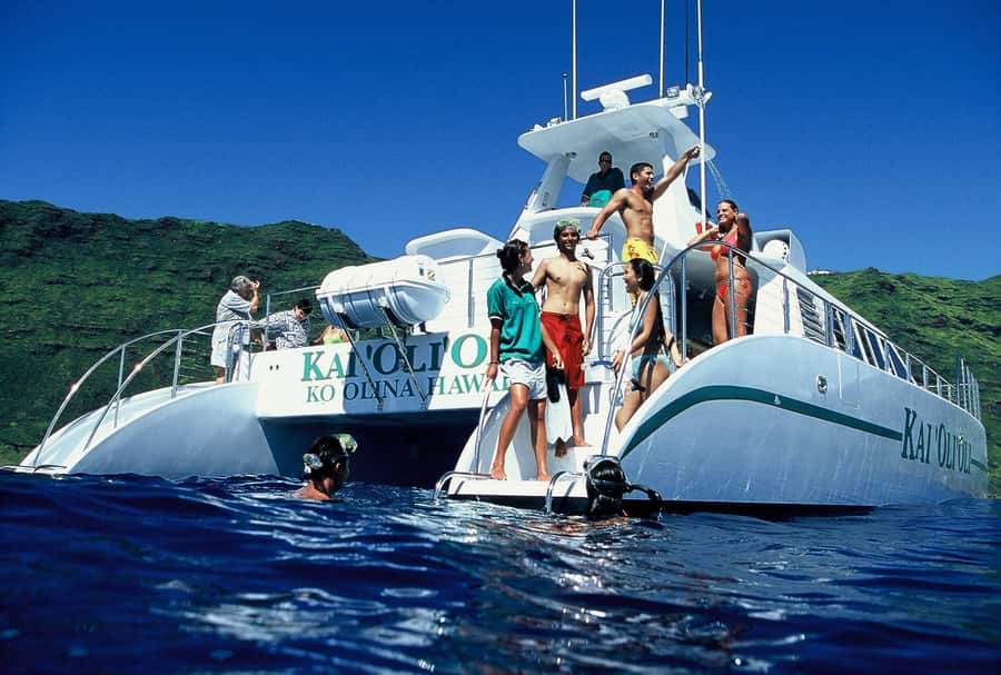 Oahu: Snorkeling & Dolphin Watch Cruise w/ Luau Style Buffet - Dolphins, Whales, and the Sightings Guarantee: What It’s Designed to Do