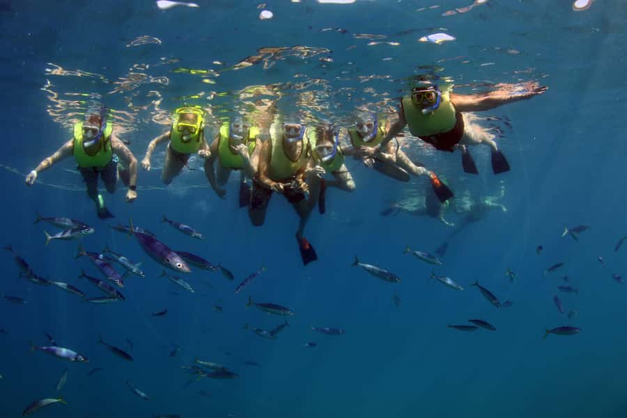 Oahu: Snorkeling & Dolphin Watch Cruise w/ Luau Style Buffet - Price and Value: Is $171 Actually Fair for This Package?