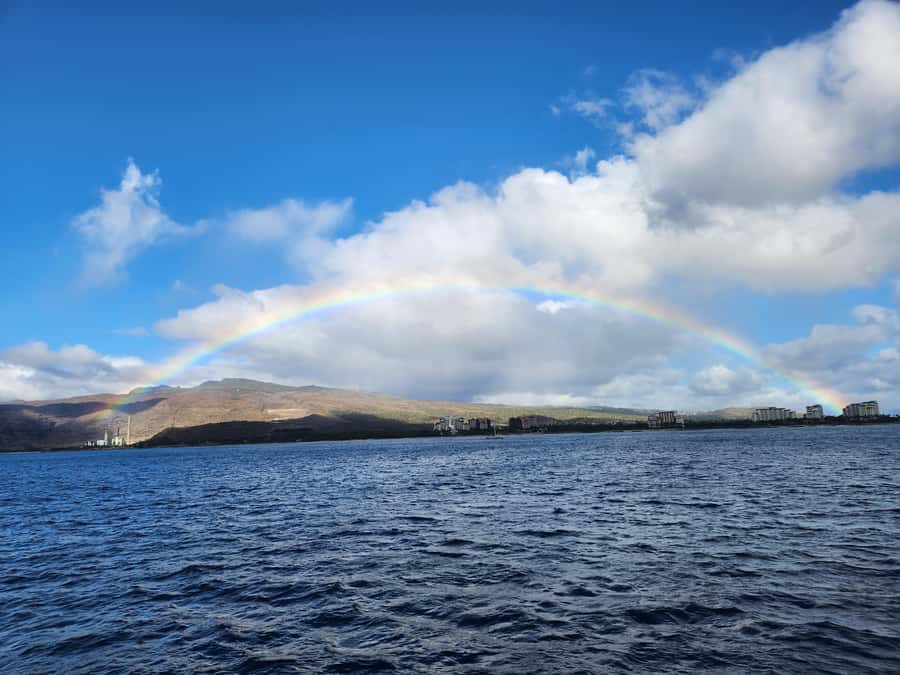 Oahu: Snorkeling & Dolphin Watch Cruise w/ Luau Style Buffet - On Board Ocean Joy Cruises: Comfort Counts on a Short Ocean Trip