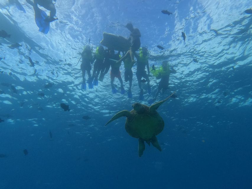 Oahu Snorkeling with Turtles, Water Scooter, Paddleboard - Turtle Canyon snorkeling: how the 2-hour wildlife window plays out